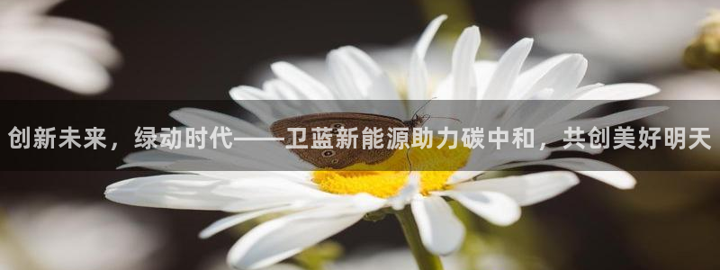 新宝gg 登陆