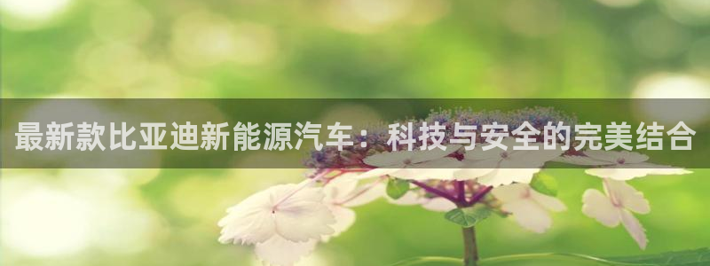 新宝哥gg
