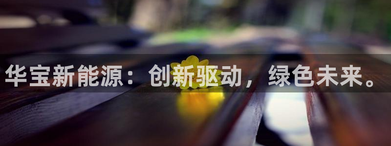 新 宝gg：华宝新能源：创新驱动，绿色未
