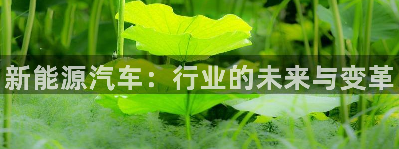 新宝gg直属上级：新能源汽车：行业的未来