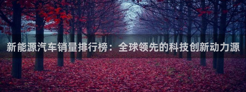 新宝gg有假吗