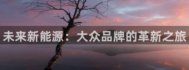 新宝gg娱乐登录地址:未来新能源:大众品牌的革新之旅