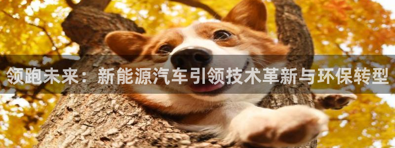 新宝3和新宝gg：领跑未来：新能源汽车引