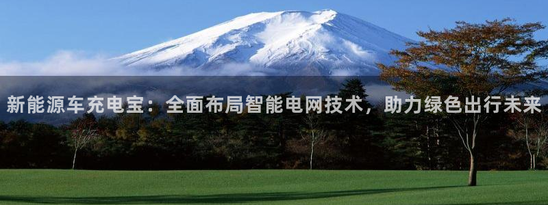 新宝gg反水:新能源车充电宝:全面布局智能电网技术,助力绿色