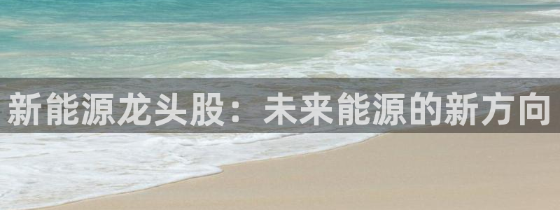 新宝集团gg:新能源龙头股:未来能源的新方向