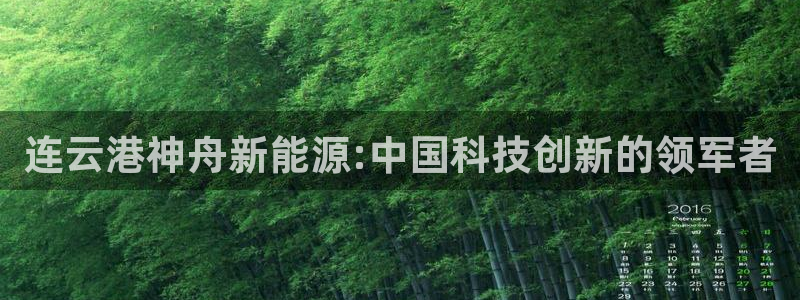 新宝gg手机登录:连云港神舟新能源:中国科技创新的领军者