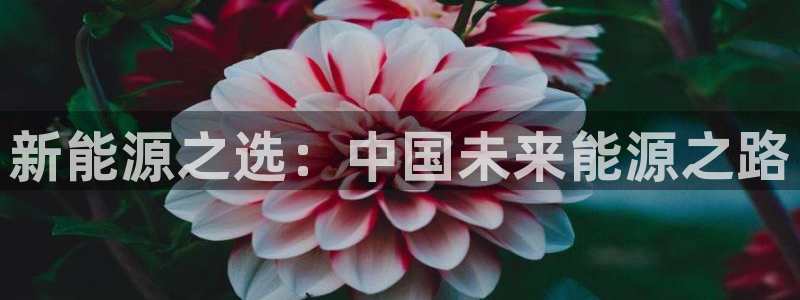 新宝gg5:新能源之选:中国未来能源之路