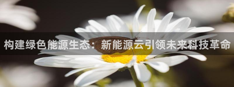 新宝gg系列