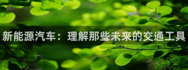 新宝 gg 下载