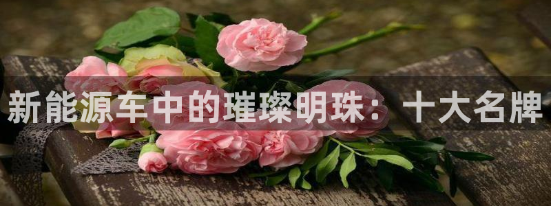 新宝gg账户注册:新能源车中的璀璨明珠:十大名牌