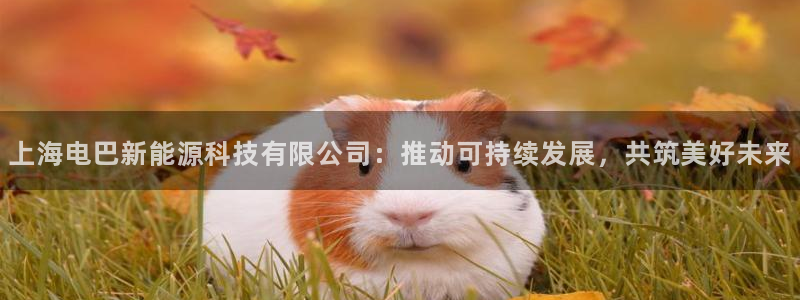 新宝gg游戏登录:上海电巴新能源科技有限公司:推动可持续发展