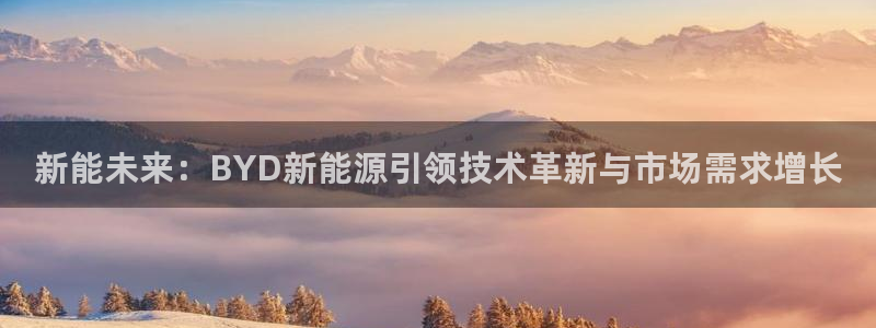 新宝GG厮78778:新能未来:BYD新能源引领技术革新与市