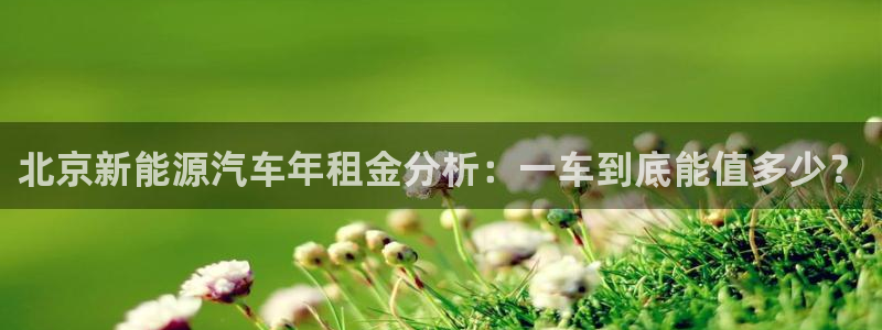 新宝gg(52360):北京新能源汽车年租金分析:一车到底能