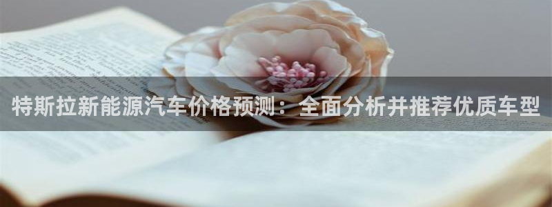 新宝gg 奇迹：特斯拉新能源汽车价格预测