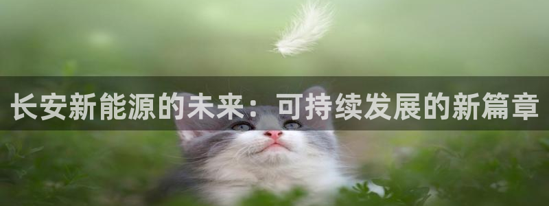 新宝-gg：长安新能源的未来：可持续发展