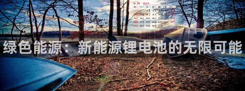 96新宝gg:绿色能源:新能源锂电池的无限可能