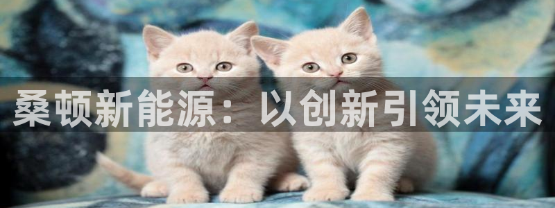 新宝 gg登录：桑顿新能源：以创新引领未
