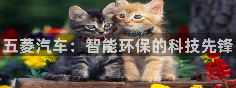 新宝gg官网：五菱汽车：智能环保的科技先