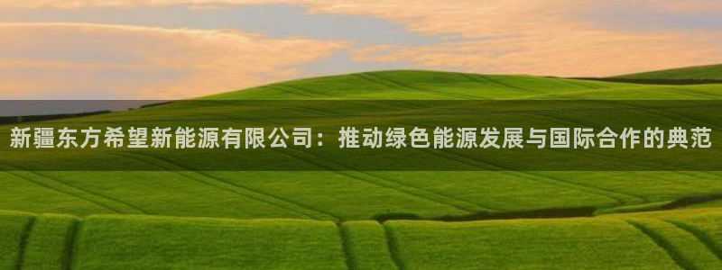 新宝gg合作:新疆东方希望新能源有限公司:推动绿色能源发展与