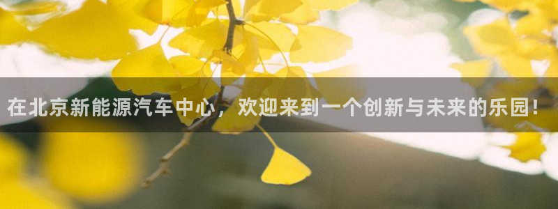 新宝gg平台注册:在北京新能源汽车中心,欢迎来到一个创新与未