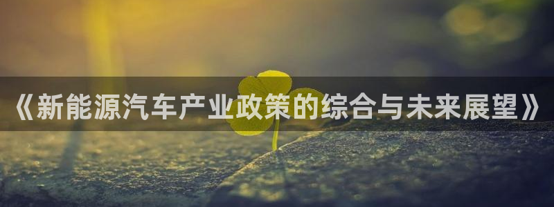 新宝gg平台q891465:《新能源汽车产业政策的综合与未来