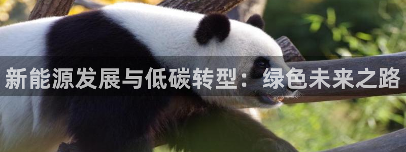新宝gg开户流程:新能源发展与低碳转型:绿色未来之路