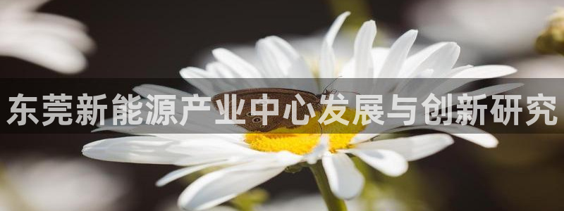 新宝GG电话:东莞新能源产业中心发展与创新研究