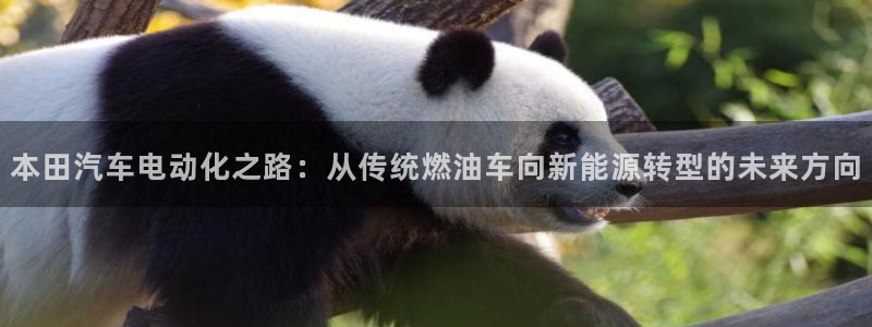 新宝gg如何:本田汽车电动化之路:从传统燃油车向新能源转型的