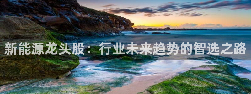 新宝gg测速:新能源龙头股:行业未来趋势的智选之路