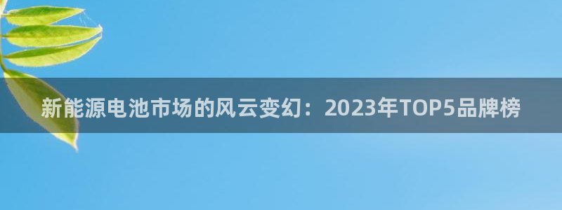 新宝gg登陆平台:新能源电池市场的风云变幻:2023年TOP