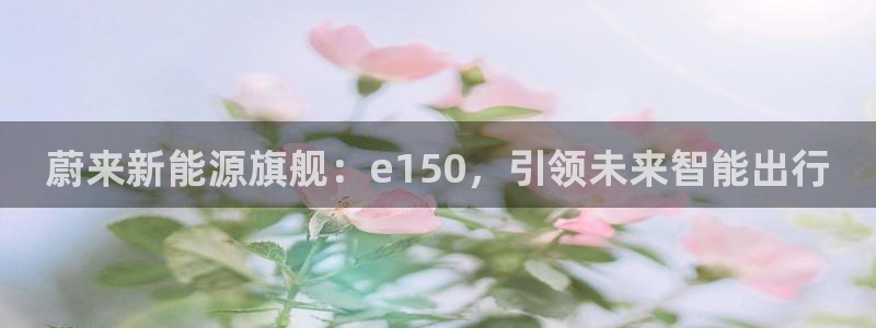 新宝gg登录线路测试:蔚来新能源旗舰:e150,引领未来智能