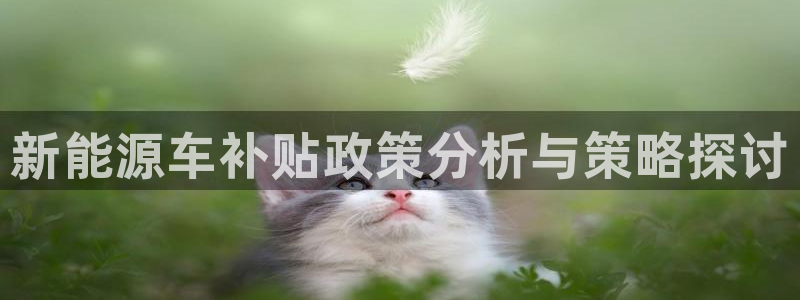 百度新宝gg:新能源车补贴政策分析与策略探讨