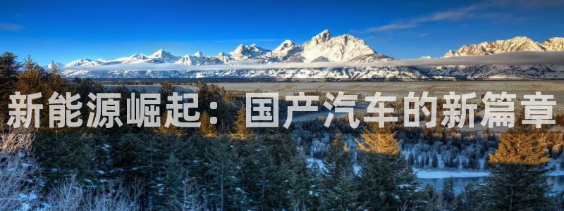 新宝GG专业团队:新能源崛起:国产汽车的新篇章