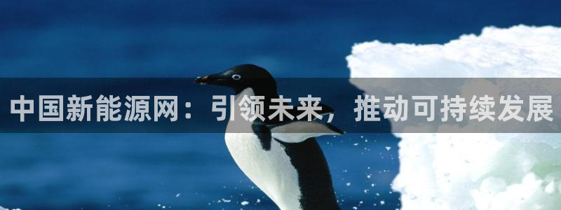 新宝GG寻29999:中国新能源网:引领未来,推动可持续发展
