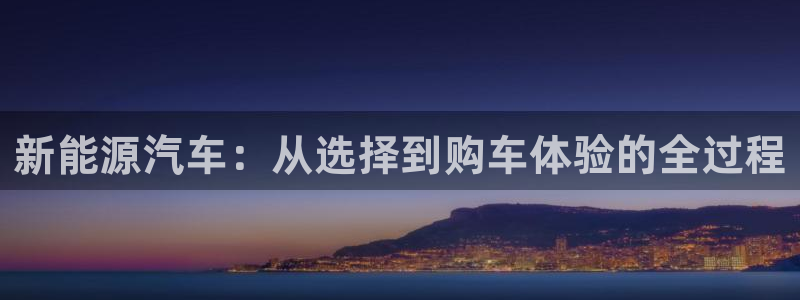 新宝.gg:新能源汽车:从选择到购车体验的全过程