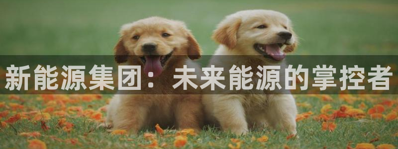 新宝gg什么:新能源集团:未来能源的掌控者