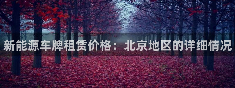 新宝gg代理条件:新能源车牌租赁价格:北京地区的详细情况