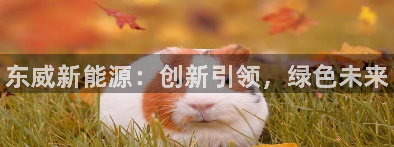 新宝gg主管都是谁:东威新能源:创新引领,绿色未来