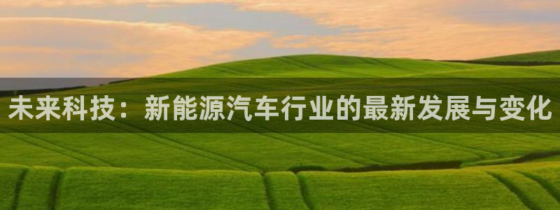 新宝gg吧:未来科技:新能源汽车行业的最新发展与变化