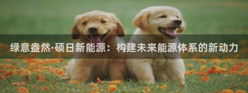 新宝gg娱乐首页：绿意盎然·硕日新能源：