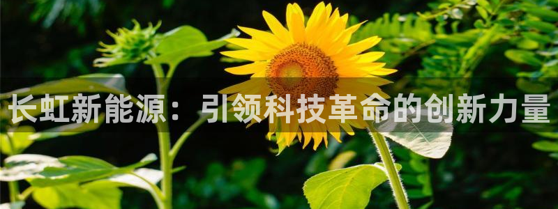 新宝gg 1980:长虹新能源:引领科技革命的创新力量