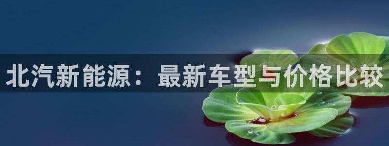 新宝gg直属上级