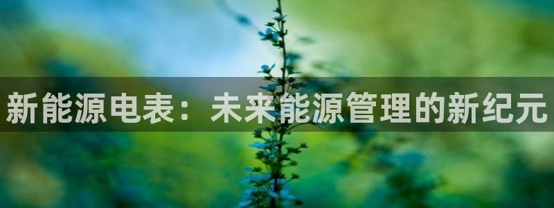 新宝gg奇迹