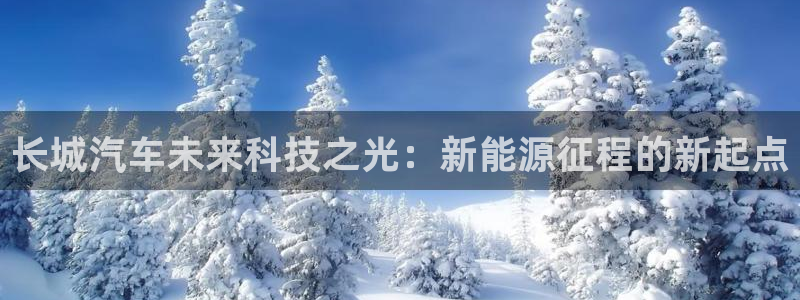 登录新宝gg游戏：长城汽车未来科技之光：