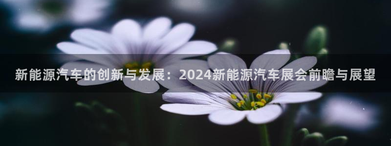 新宝gg待遇：新能源汽车的创新与发展：2