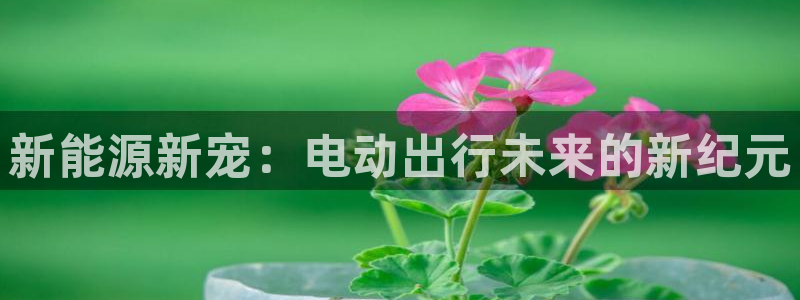 新宝gg博彩:新能源新宠:电动出行未来的新纪元