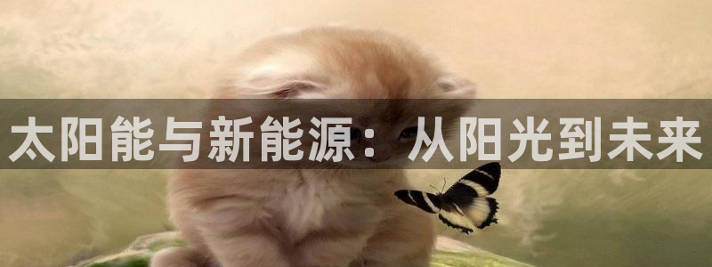 新宝gg注册新账号:太阳能与新能源:从阳光到未来