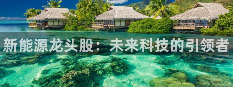 新宝gg网赚