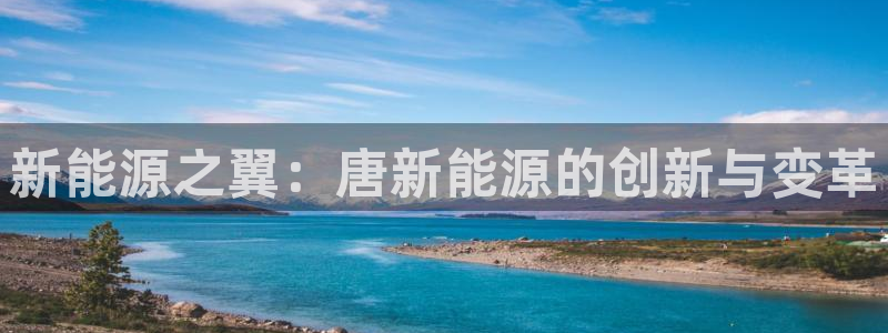 新宝GG电话