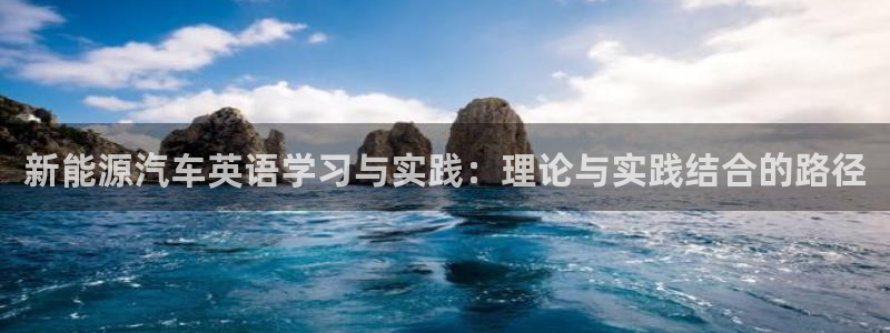 新宝gg工资